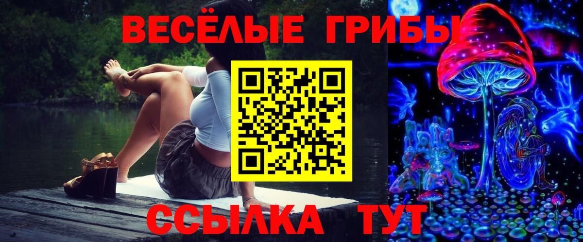 Псилоцибиновые грибы Cubensis Чехов